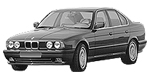 BMW E34 P0495 Fault Code